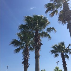 Meet your Posher, Leila